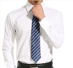 男士職業(yè)裝領帶