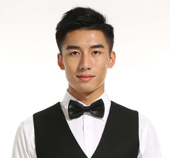 男士職業(yè)裝領結(jié)